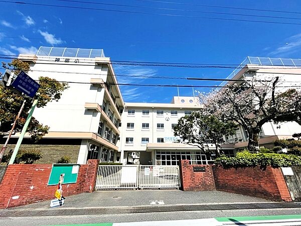 神田小学校
