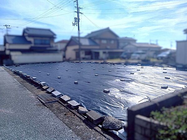 外観：339000050628