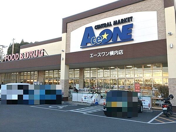 エースワン横内店