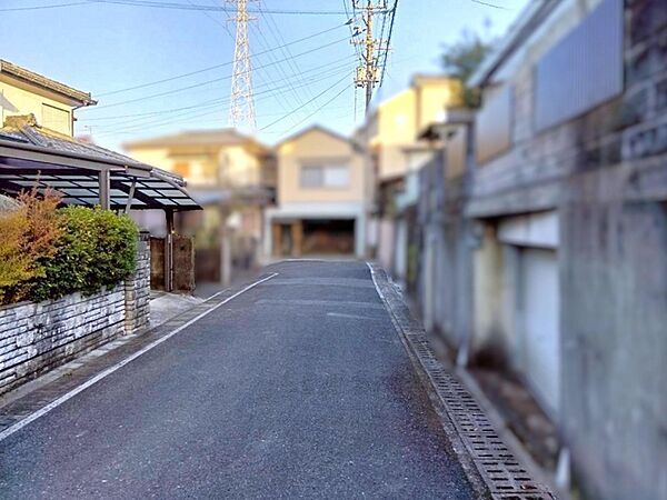 前面道路を含む現地写真