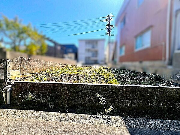 現地写真