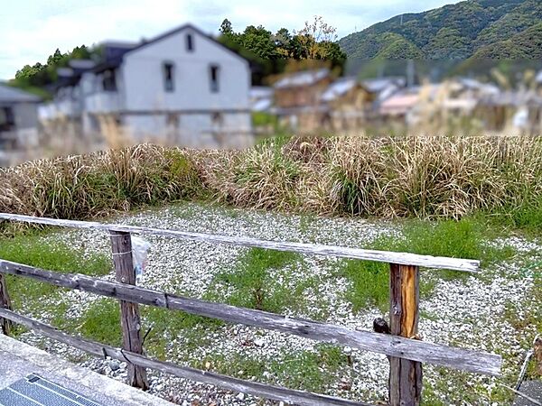 現地写真