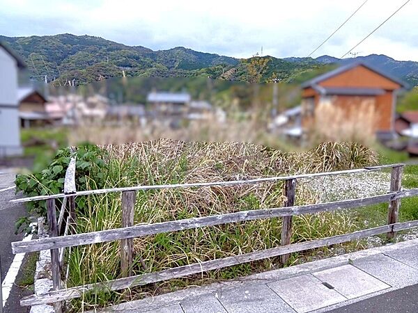 現地写真
