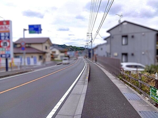 前面道路を含む現地写真