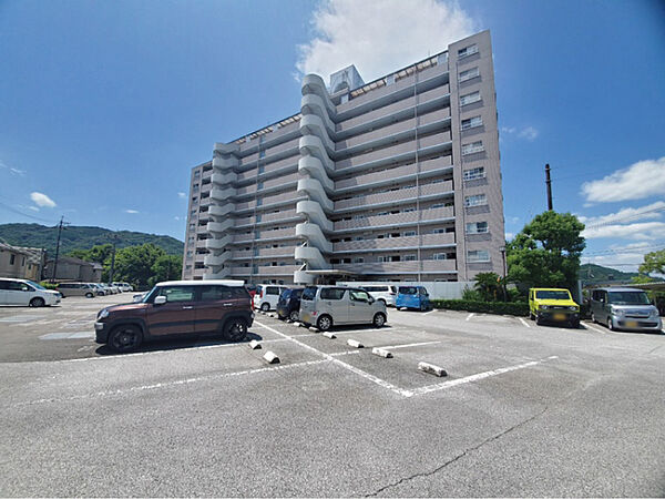 現地写真