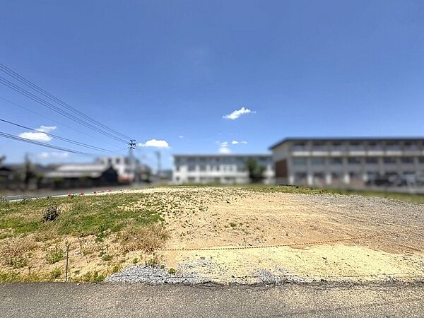 現地写真