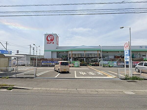 コメリハード＆グリーン野市店