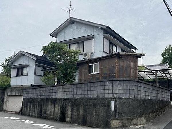外観：339000054795