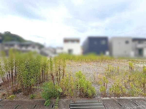 現地写真