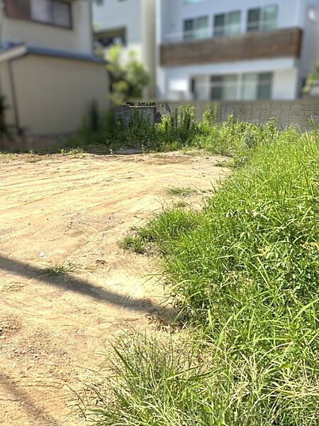 現地写真