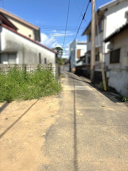 現地写真