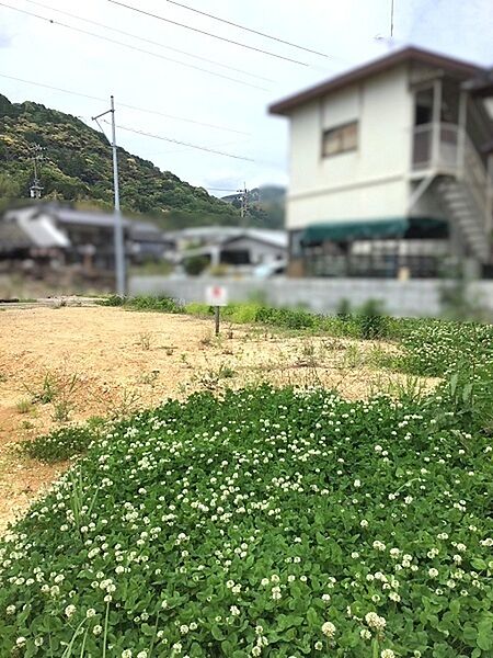 現地写真