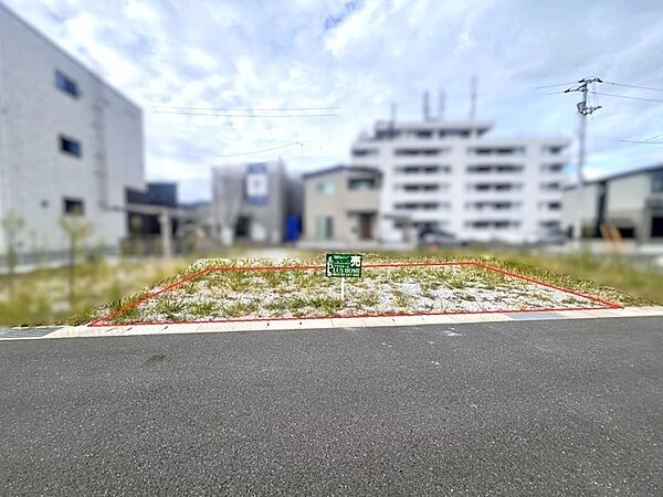 外観：339000056345