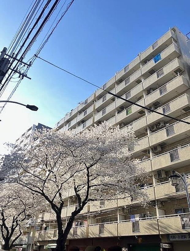 第5桜台ファミリーマンション(3DK) 6階の外観