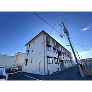 ハイライズ秋葉 3階 築25年の賃貸物件