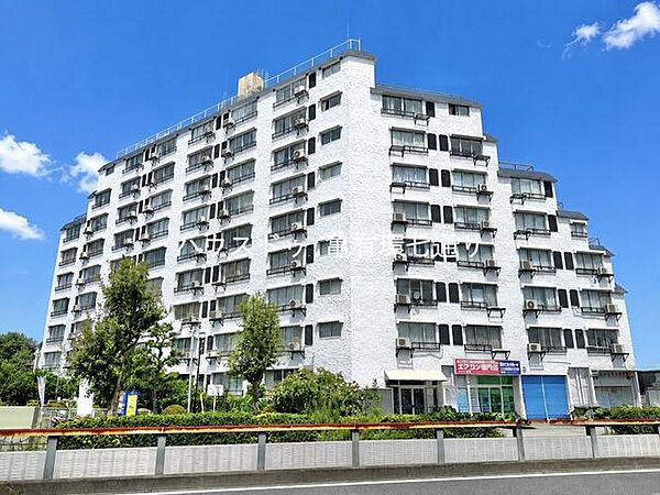 外観：313004850850