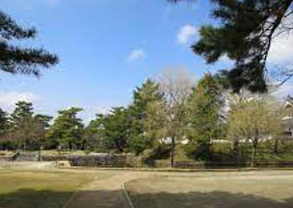 apartment 茨城県土浦市中央2丁目
地図を見る
