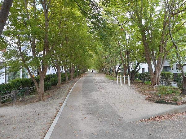 新船場西公園　約150ｍ　徒歩2分