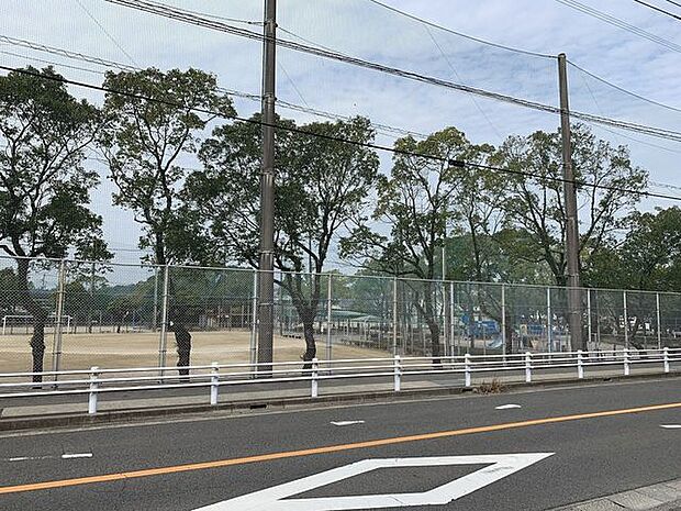 伊敷団地中央公園 800m