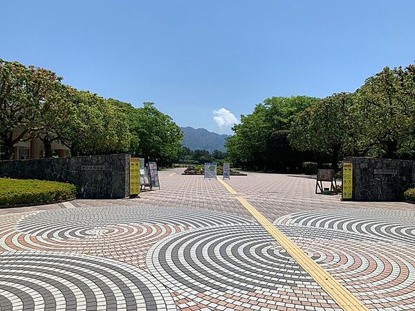 鹿児島県立吉野公園鹿児島市の中心から北東に約8km標高234mの台地にあって、展望台から錦江湾を隔てて、目前に雄大な桜島を、遠くに霧島連山や開聞岳を眺望できます。 1900m