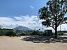 周辺：辻ヶ丘公園 350m