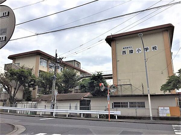 西陵小学校児童数は約715名、教員数は約38名です。（令和7年4月） 50m