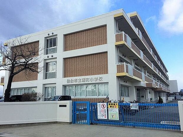 仙台市立蒲町小学校 徒歩10分。 730m