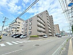 ロイヤルパレス泉中央公園