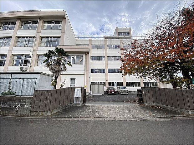 仙台市立八幡小学校 徒歩12分。 890m