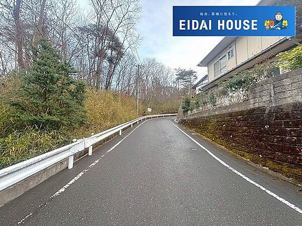 前面道路含む外観