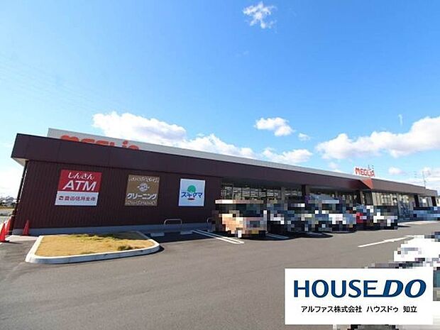 メグリアはなぞの 1000m