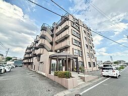 刈谷アイリス