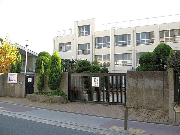 大阪市立鯰江中学校（546m）