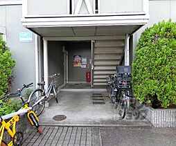 7 / 12