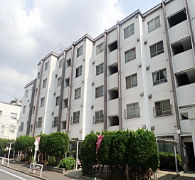 外観：313004825220