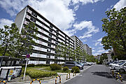 桂駅よりバス13分 徒歩5分 築46年5ヶ月 8階建の賃貸物件