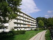 桃山南口駅より徒歩15分 築47年2ヶ月 5階建の賃貸物件