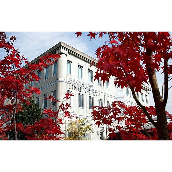画像11:大学1「京都経済短期大学まで1500ｍ」