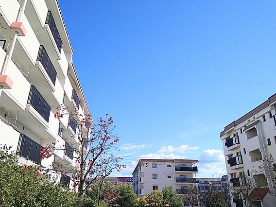 UR都市機構高の原駅西団地17棟_その他_3