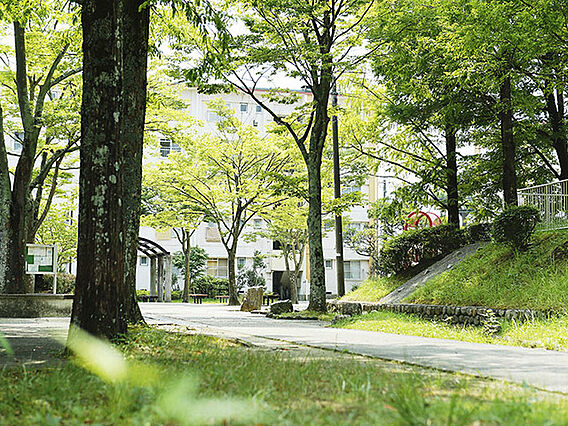 UR都市機構中登美団地F—3_その他_2