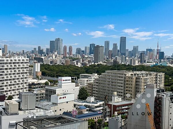 心地よい風と、自然を感じる緑を臨んでおり、自然の風や光は、きっと日々の生活に潤いを与えてくれます。都心にいながら春夏秋冬様々な景色を見せてくれます。