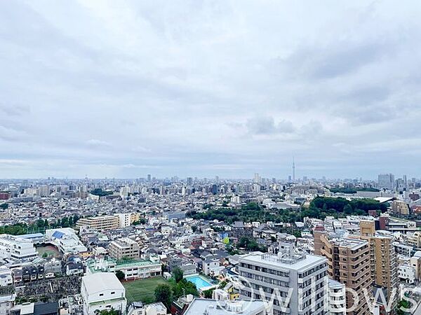 地上22階の角住戸ならではの、180度見渡せる開放的なパノラマビューが魅力です。周囲に視界を遮るものがなく、遠くにはスカイツリーも望める特等席。都心の美しい空と街並みを自宅から独占できます。