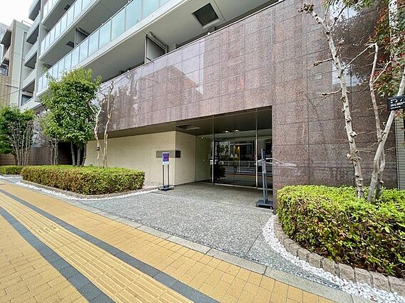 植栽が美しいエ...