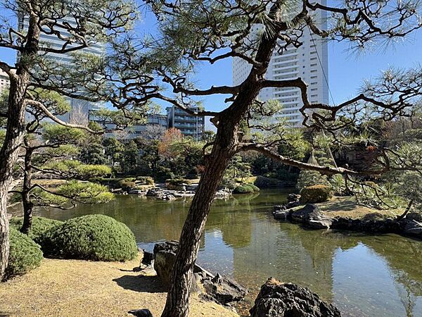 墨田区立　旧安田庭園（約17ｍ）