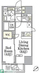 ジオエント池袋 9階1LDKの間取り