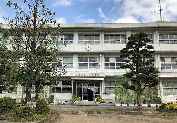 金川小学校