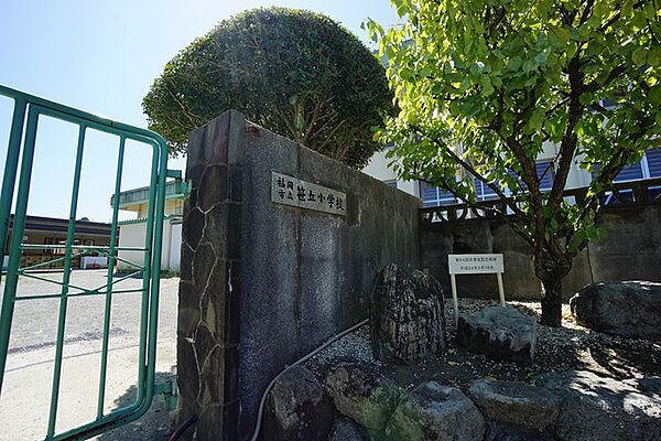笹丘小学校