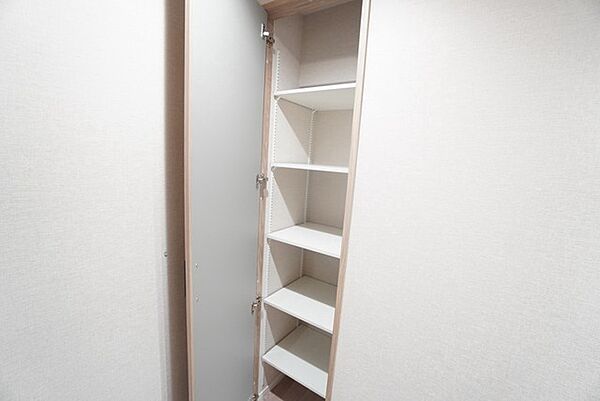 工具や掃除用品、シューズボックスに入りきれなかった使用頻度の低い靴を収納する場所としても役立ちます。