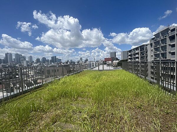 屋上庭園