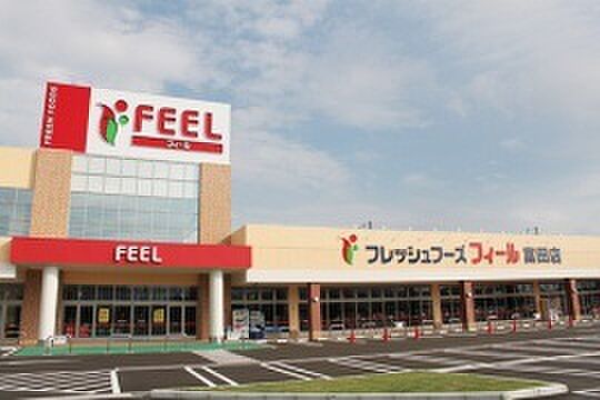 画像15:FRESH FOODS FEEL（フレッシュフーズフィール） 富田店（774m）